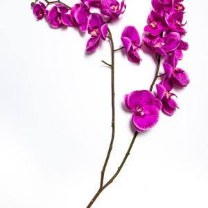 Искусственная орхидея Phalenopsis X2 H135210046