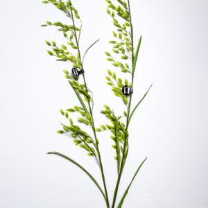Искусственное растение Watergrass (набор из 2 шт) H146230061